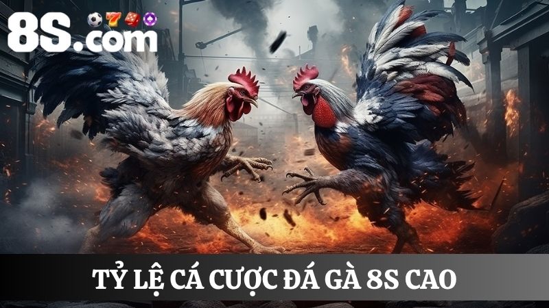 tỷ lệ trả thưởng đá gà 8S