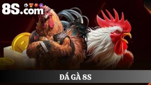 đá gà 8S