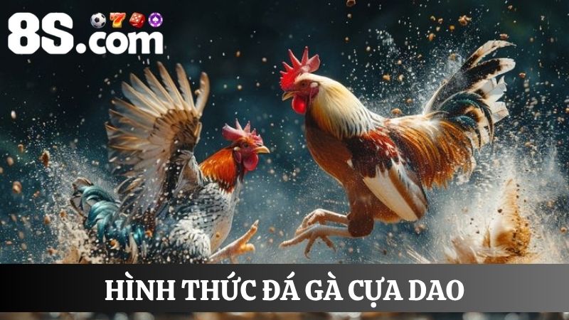 đá gà 8S cựa dao